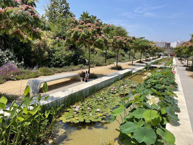 Parque Central